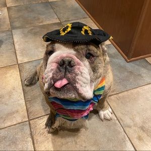 Meet your Posher, Jacque